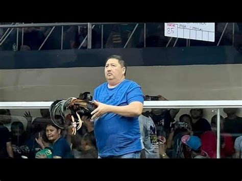 sabong derby 2023 full video youtube|Grabe ang bibigat ng mga sumali.. List of entries 3rd .